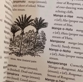 Listing 7 of 8 for Maori Place Names Their Meanings Origins Their Meanings and Origins 4th Edition