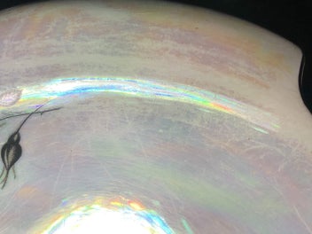 Listing 8 of 20 for Royal Winton Grimwades Red & Black Rose Dish, Vintage, RARE PATTERN