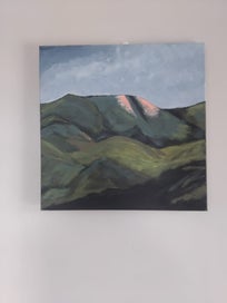 Listing 3 of 8 for The Hills down Southland by kiwi artist