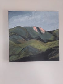 Listing 7 of 8 for The Hills down Southland by kiwi artist