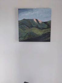 Listing 8 of 8 for The Hills down Southland by kiwi artist