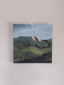 Listing 1 of 8 for The Hills down Southland by kiwi artist
