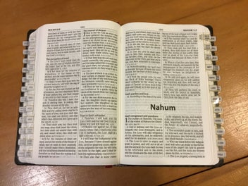 Listing 4 of 4 for Bible Thumb Index