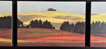 Listing 4 of 6 for Peter Latham “Late Harvest”