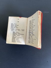 Listing 6 of 9 for Little Maori - English Dictionary