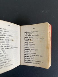 Listing 7 of 9 for Little Maori - English Dictionary