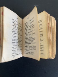 Listing 8 of 9 for Little Maori - English Dictionary