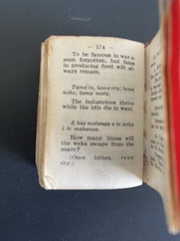 Listing 9 of 9 for Little Maori - English Dictionary