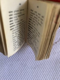 Listing 4 of 9 for Little Maori - English Dictionary