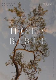 Listing 1 of 1 for NRSV Catholic Edition Bible, Eucalyptus Paperback (Global Cover Series)