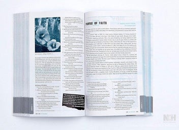 Listing 2 of 4 for NRSV, LIVE, Catholic Edition, Youth Bible, Paperback: Youth Bible, Catholi
