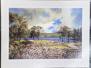 Listing 3 of 8 for Artist’s A2 size Portfolio 5 envelope case w/7 Golf prints