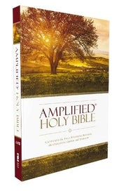 Listing 1 of 1 for Amplified Holy Bible, Paperback ISBN 9780310443902