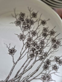 Listing 4 of 8 for Pontessa ironstone dinner set