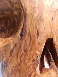 Listing 3 of 5 for Totora burl