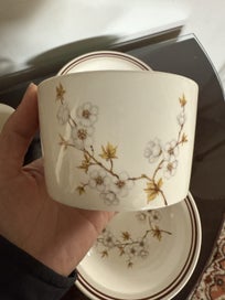 Listing 4 of 5 for Vintage Crown Lynn "Cherry Blossom" d 532 Set - 9 Pieces (NZ Made)