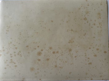 Listing 2 of 6 for Plate 3 1885 chromolithograph from INDIGENOUS FLOWERS OF THE HAWAIIAN ISLANDS