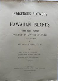 Listing 4 of 6 for Plate 2 1885 chromolithograph from INDIGENOUS FLOWERS OF THE HAWAIIAN ISLANDS