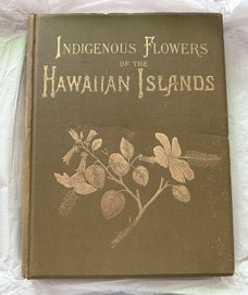 Listing 5 of 6 for Plate 2 1885 chromolithograph from INDIGENOUS FLOWERS OF THE HAWAIIAN ISLANDS