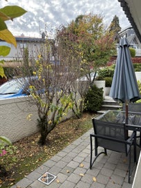 Listing 4 of 20 for Queenstown annual holiday - timeshare week