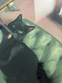 Listing 3 of 7 for Exquisite Martini Pussy Cat 62cm x 86.5cm