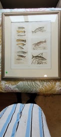 Listing 1 of 8 for Antique Signed Limited Edition Grand Slam Custom Framed Fly Fishing Prints