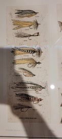 Listing 3 of 8 for Antique Signed Limited Edition Grand Slam Custom Framed Fly Fishing Prints