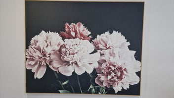 Listing 1 of 6 for Lovely Peonie Piece