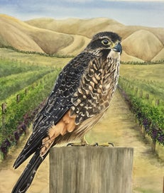 Listing 3 of 3 for Original watercolour painting 820mm x 720mm - NZ Artist