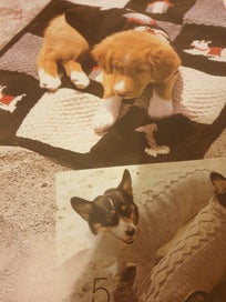 Listing 4 of 5 for Dog Gone Cute - Knitting Book for Dogs Clothes