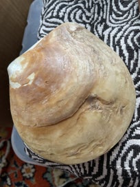 Listing 3 of 4 for Shell