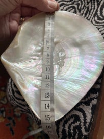 Listing 4 of 4 for Shell