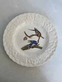 Listing 1 of 12 for Alfred Meakin c. 1940s display/cake plate Passenger Pigeon - Audubon illus