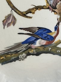 Listing 3 of 12 for Alfred Meakin c. 1940s display/cake plate Passenger Pigeon - Audubon illus