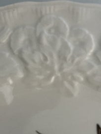 Listing 5 of 12 for Alfred Meakin c. 1940s display/cake plate Passenger Pigeon - Audubon illus