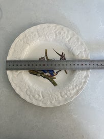 Listing 9 of 12 for Alfred Meakin c. 1940s display/cake plate Passenger Pigeon - Audubon illus