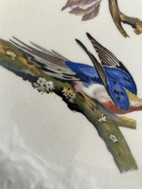 Listing 11 of 12 for Alfred Meakin c. 1940s display/cake plate Passenger Pigeon - Audubon illus