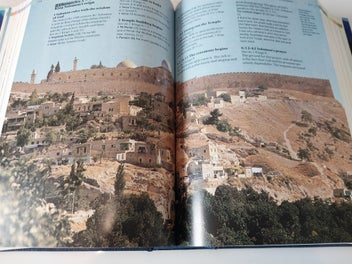 Listing 3 of 8 for Bible - Lion Handbook