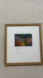 Listing 1 of 3 for Karl Maughan 'Zigzag Road, 2017' signed and framed print