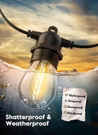 Listing 5 of 10 for festoon light bulb