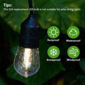 Listing 6 of 10 for festoon light bulb