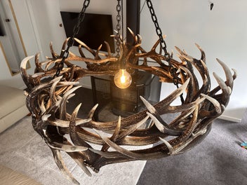 Listing 6 of 7 for Luxury Deer Antler Chandelier (SALE PRICE)