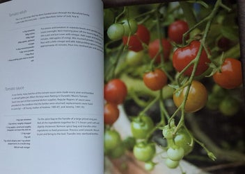 Listing 7 of 19 for OVER THE FENCE & UNDER THE OAK TREE DUNSANDEL SCHOOL +WAIHI SCHOOL CKBKS