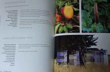 Listing 15 of 19 for OVER THE FENCE & UNDER THE OAK TREE DUNSANDEL SCHOOL +WAIHI SCHOOL CKBKS