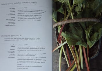 Listing 17 of 19 for OVER THE FENCE & UNDER THE OAK TREE DUNSANDEL SCHOOL +WAIHI SCHOOL CKBKS