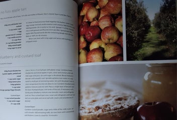 Listing 16 of 19 for OVER THE FENCE & UNDER THE OAK TREE DUNSANDEL SCHOOL +WAIHI SCHOOL CKBKS