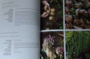 Listing 18 of 19 for OVER THE FENCE & UNDER THE OAK TREE DUNSANDEL SCHOOL +WAIHI SCHOOL CKBKS