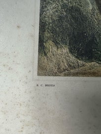 Listing 7 of 10 for 1967 print ,HAWKSTONE STREET ,WELLINGTON with the artist cottage. DAMAGED!!!!