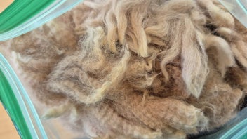 Listing 2 of 3 for Alpaca fibre - raw