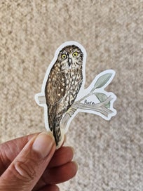 Listing 5 of 11 for Aotearoa native bird die-cut vinyl - 5 stickers